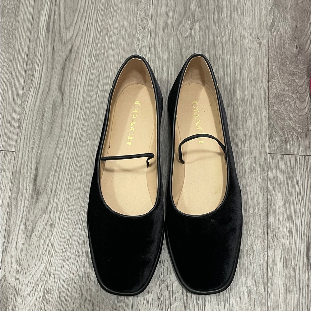 Coach Women's Emilia Mary Jane   Flats